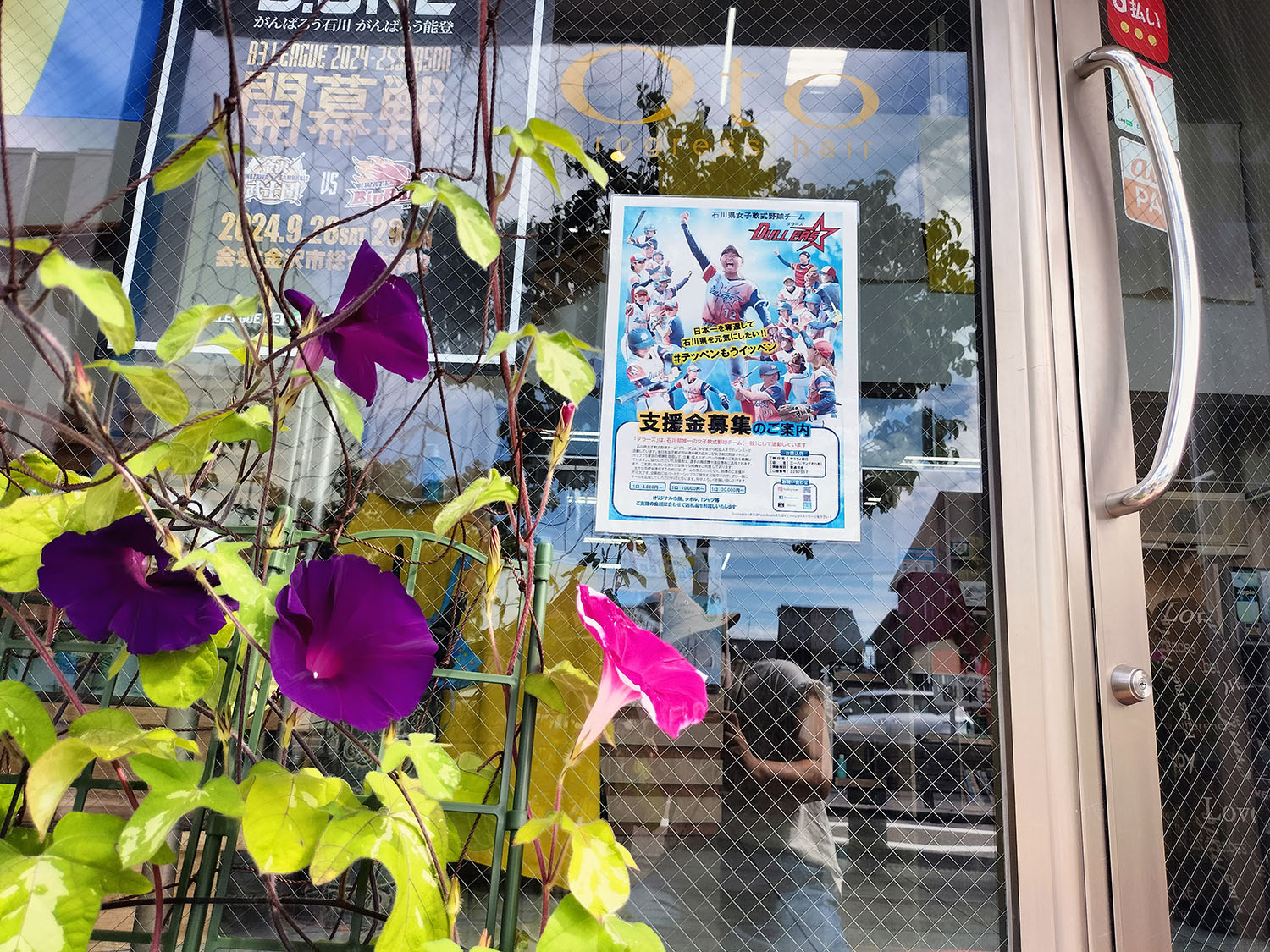 あさがお写真12