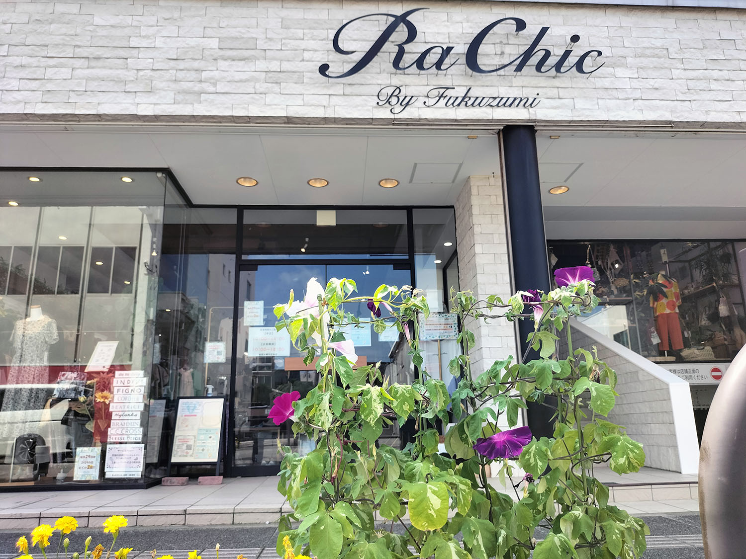 あさがお写真13