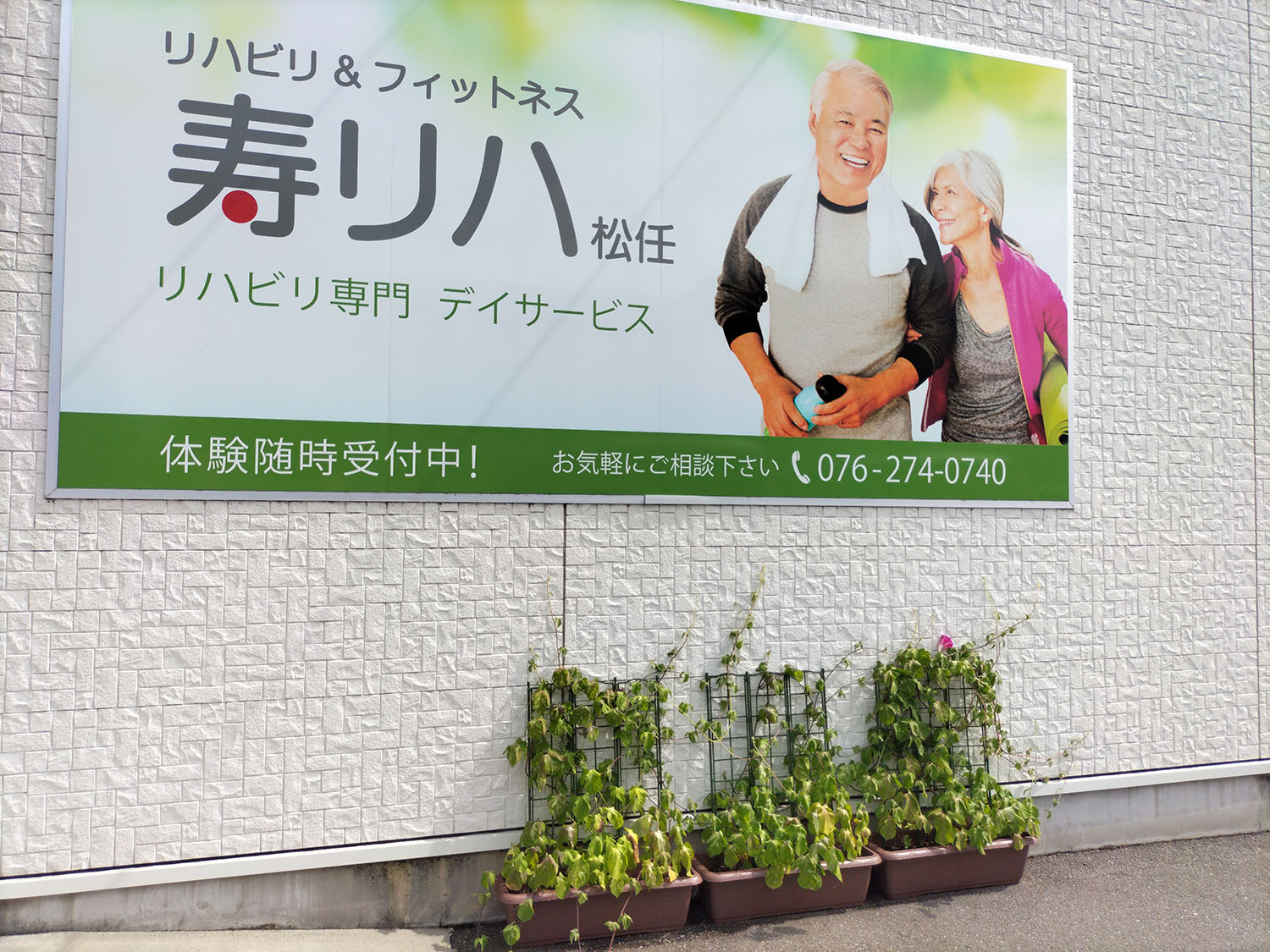 あさがお写真16