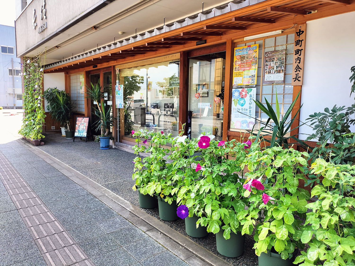 あさがお写真19