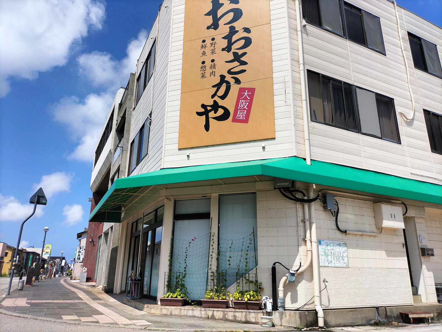 あさがお写真23