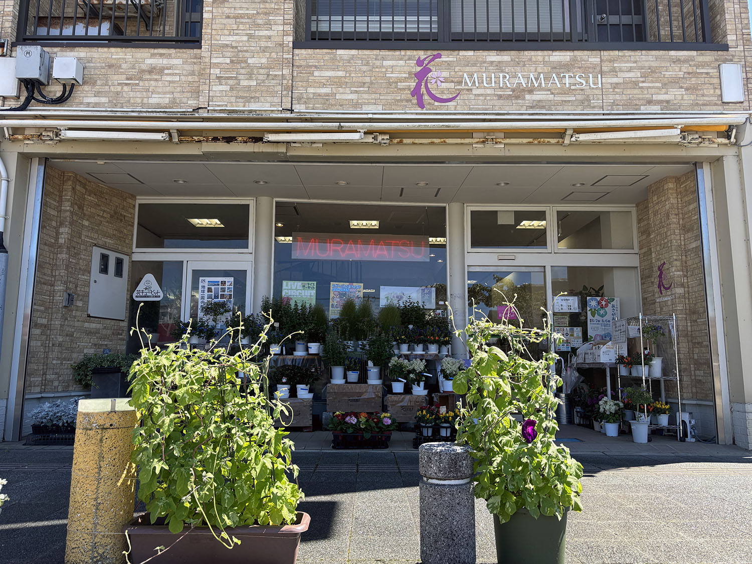 あさがお写真25