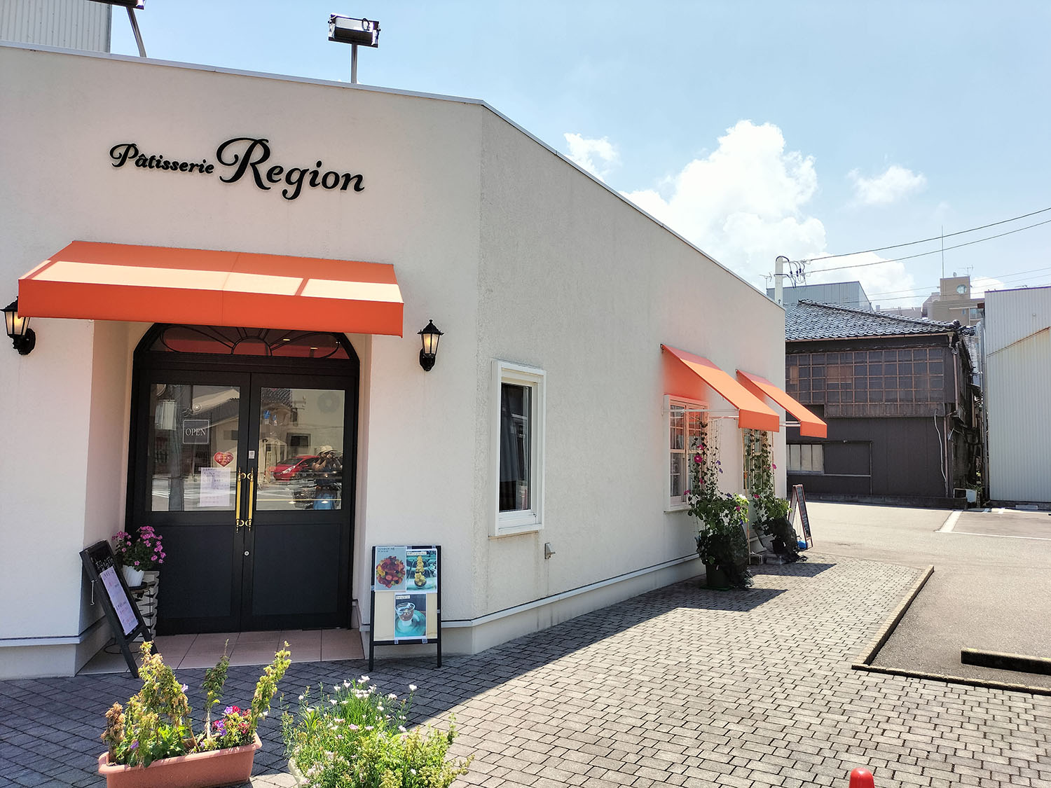 あさがお写真29