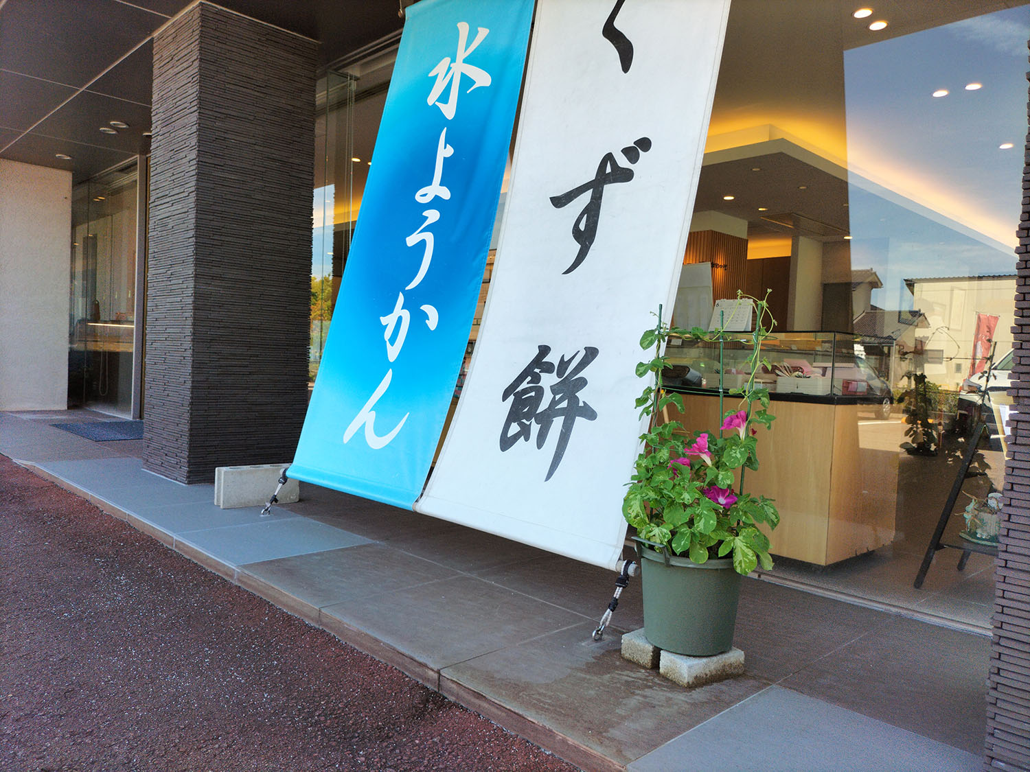 あさがお写真33