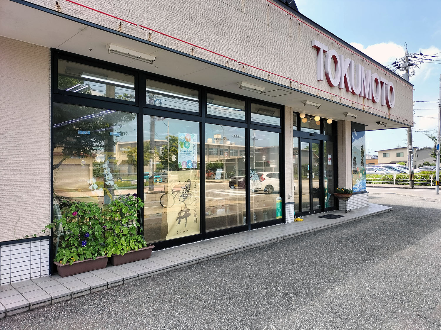 あさがお写真37