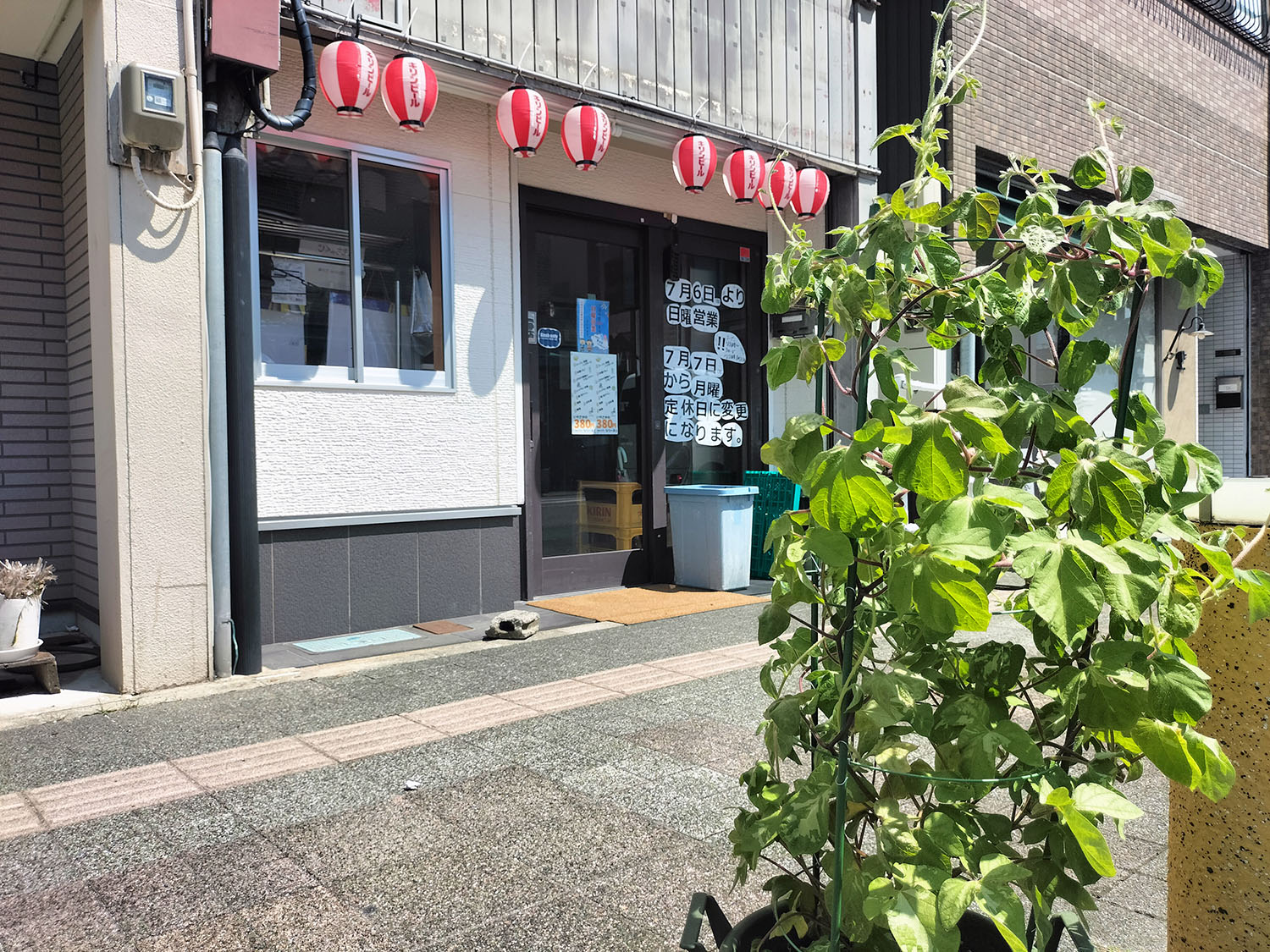 あさがお写真12