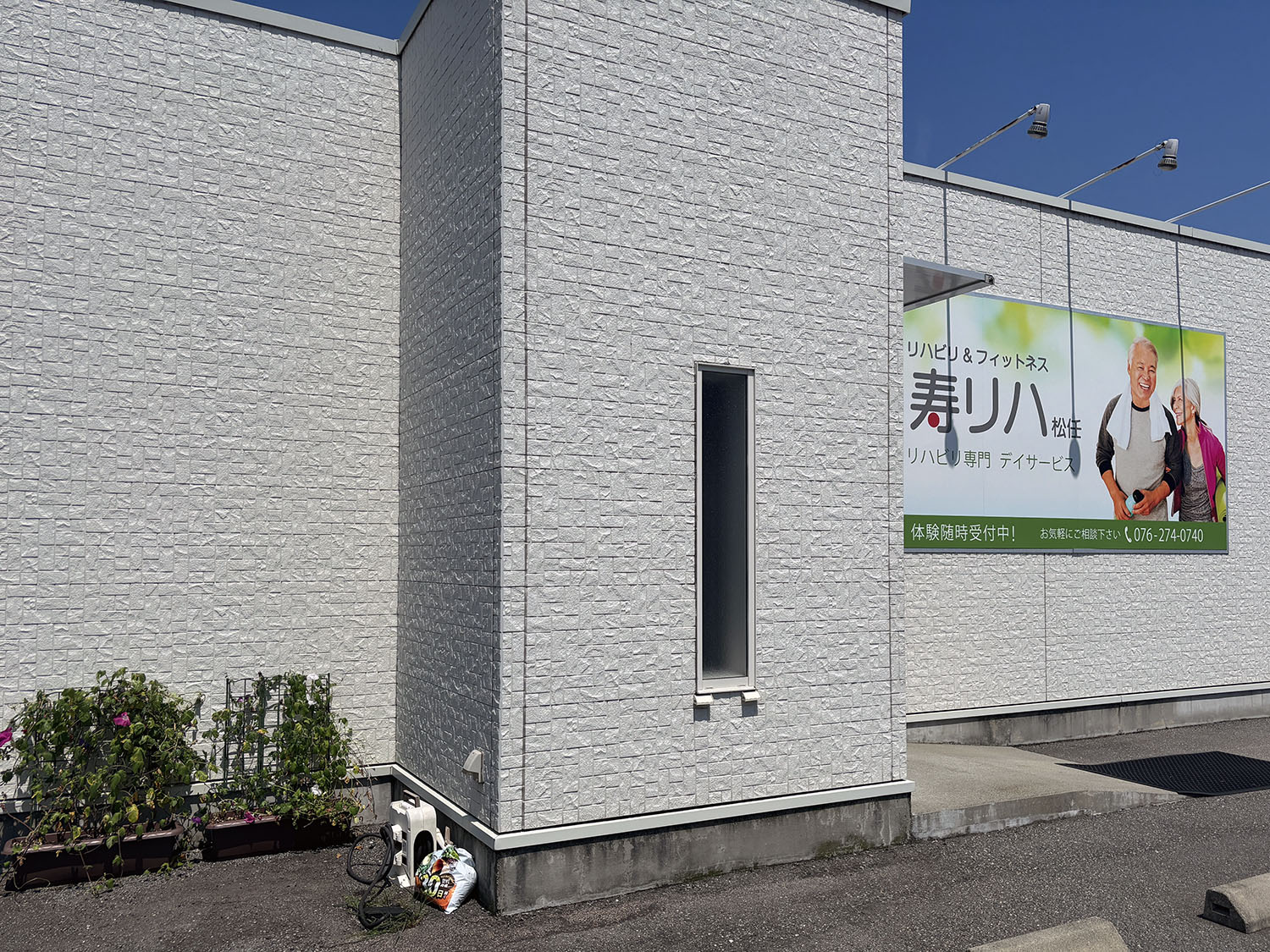 あさがお写真15