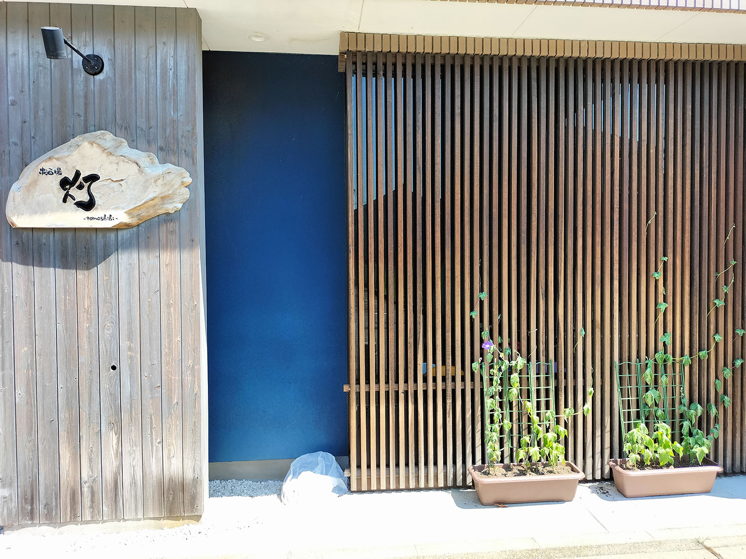 あさがお写真17