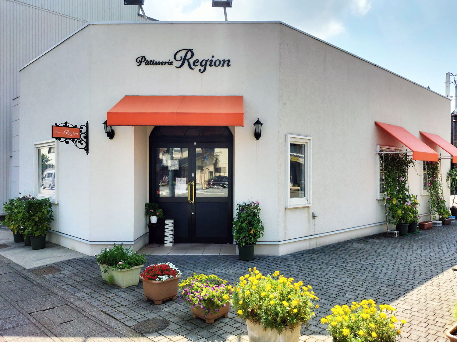 あさがお写真19