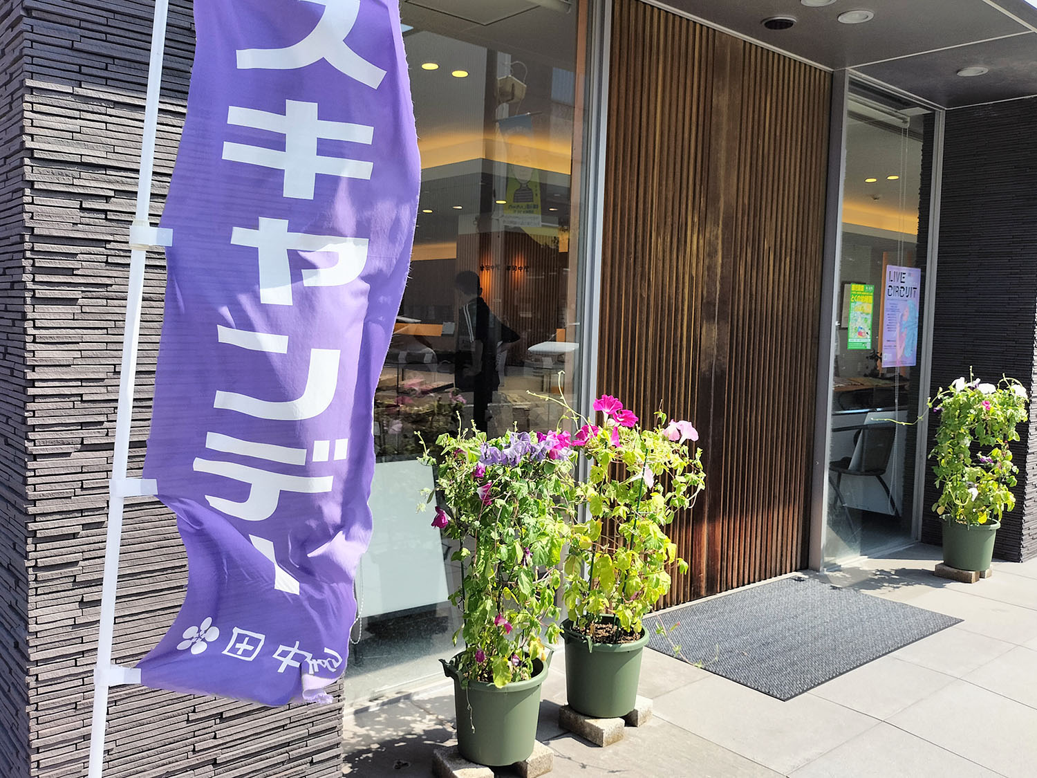 あさがお写真20