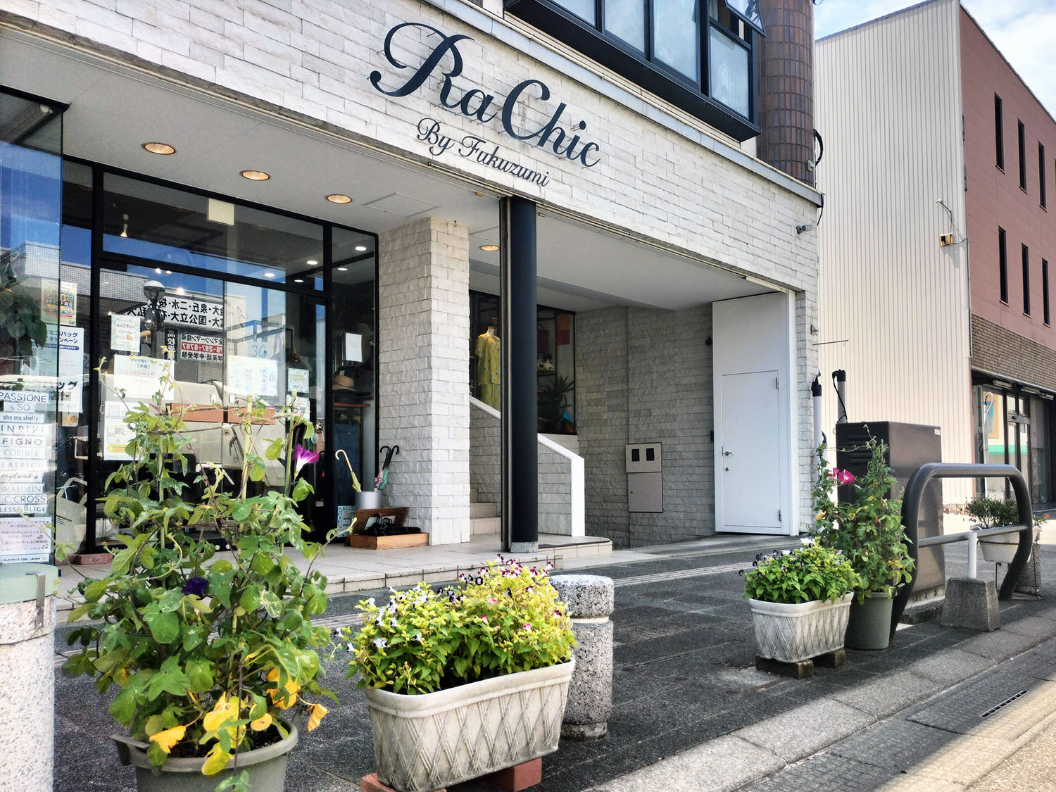 あさがお写真21