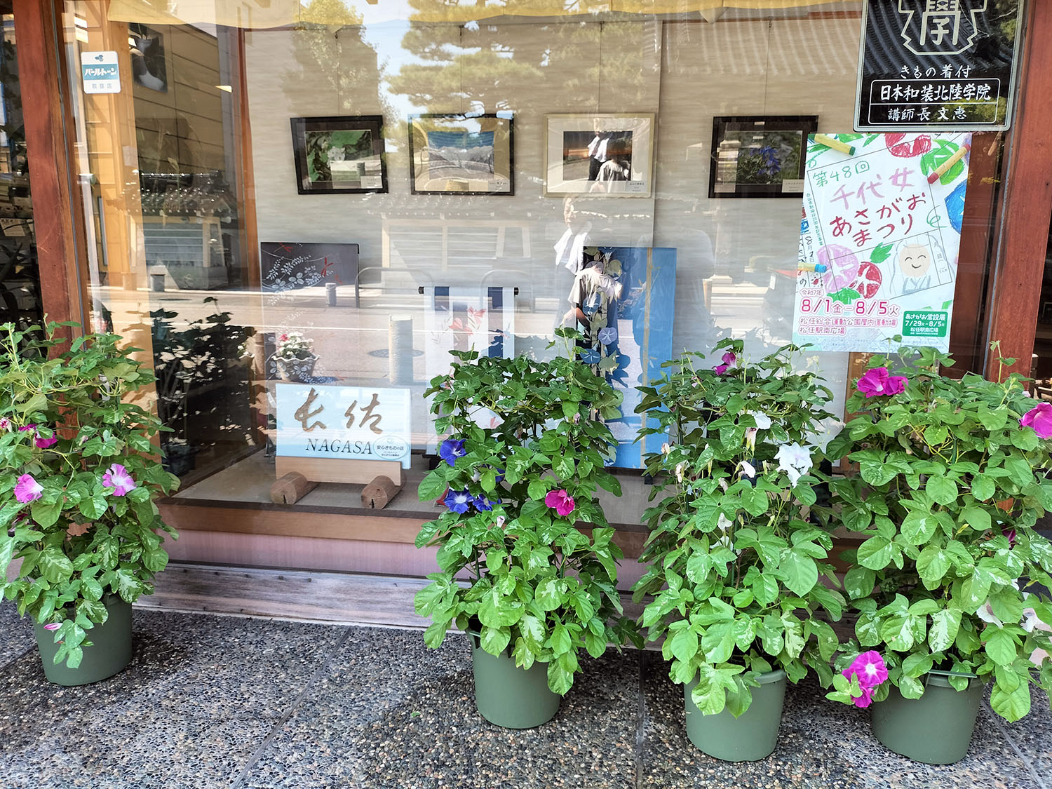 あさがお写真29